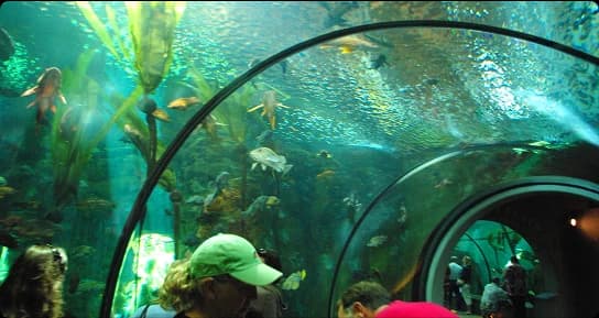 Oregon Coast Aquarium