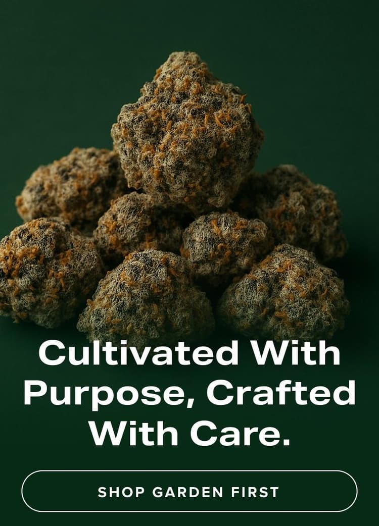 Feature Image Desktop