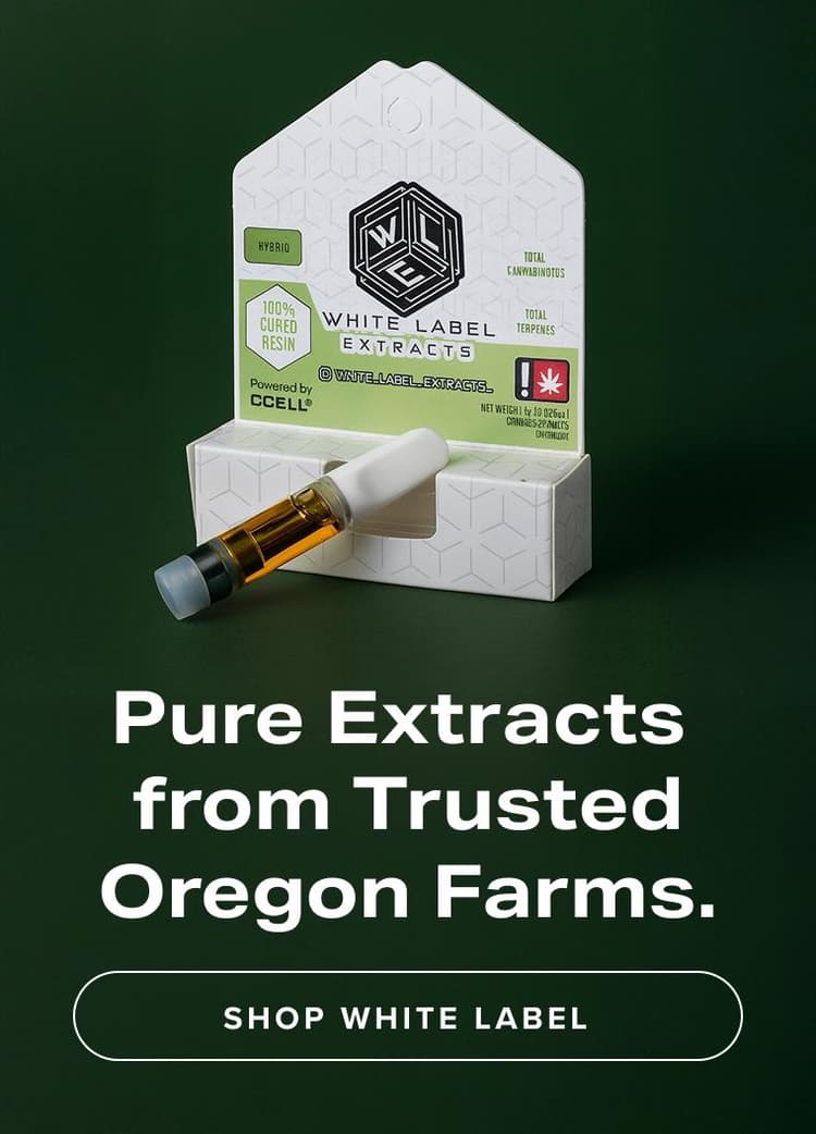 Feature Image Desktop