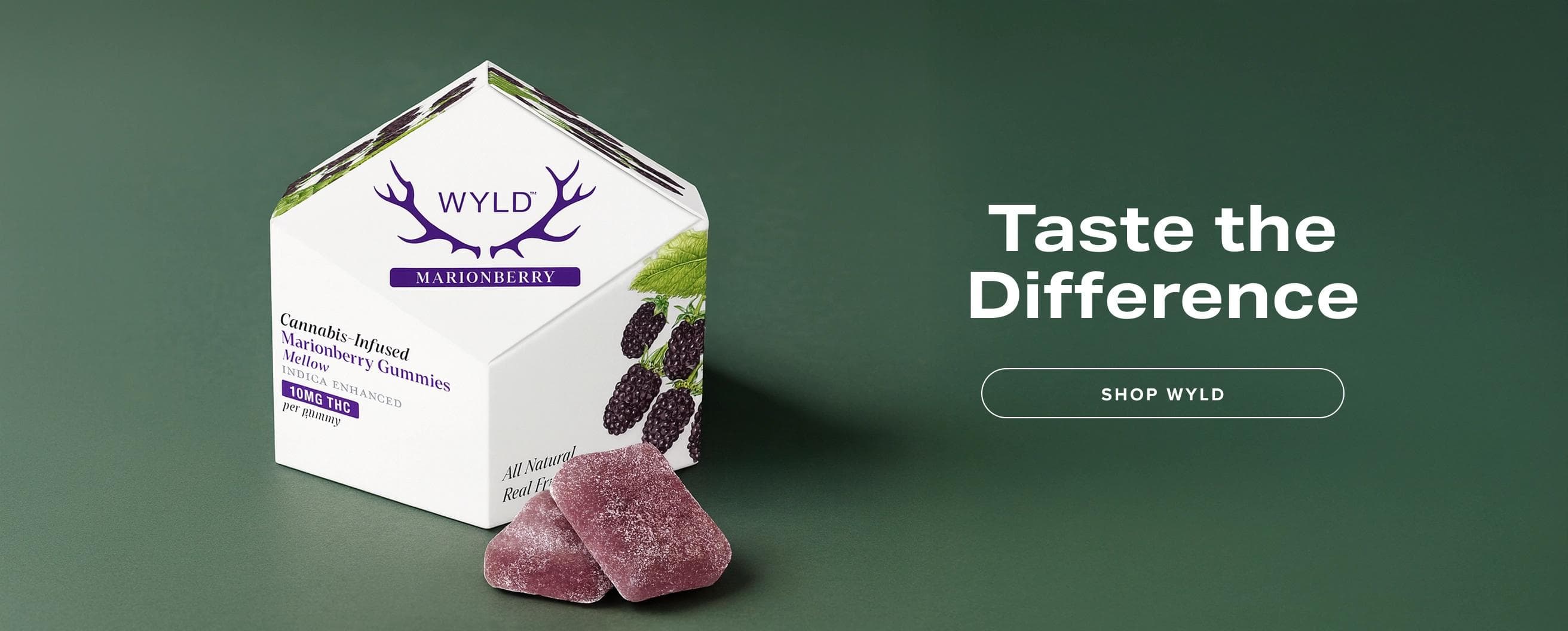 Feature Image Desktop