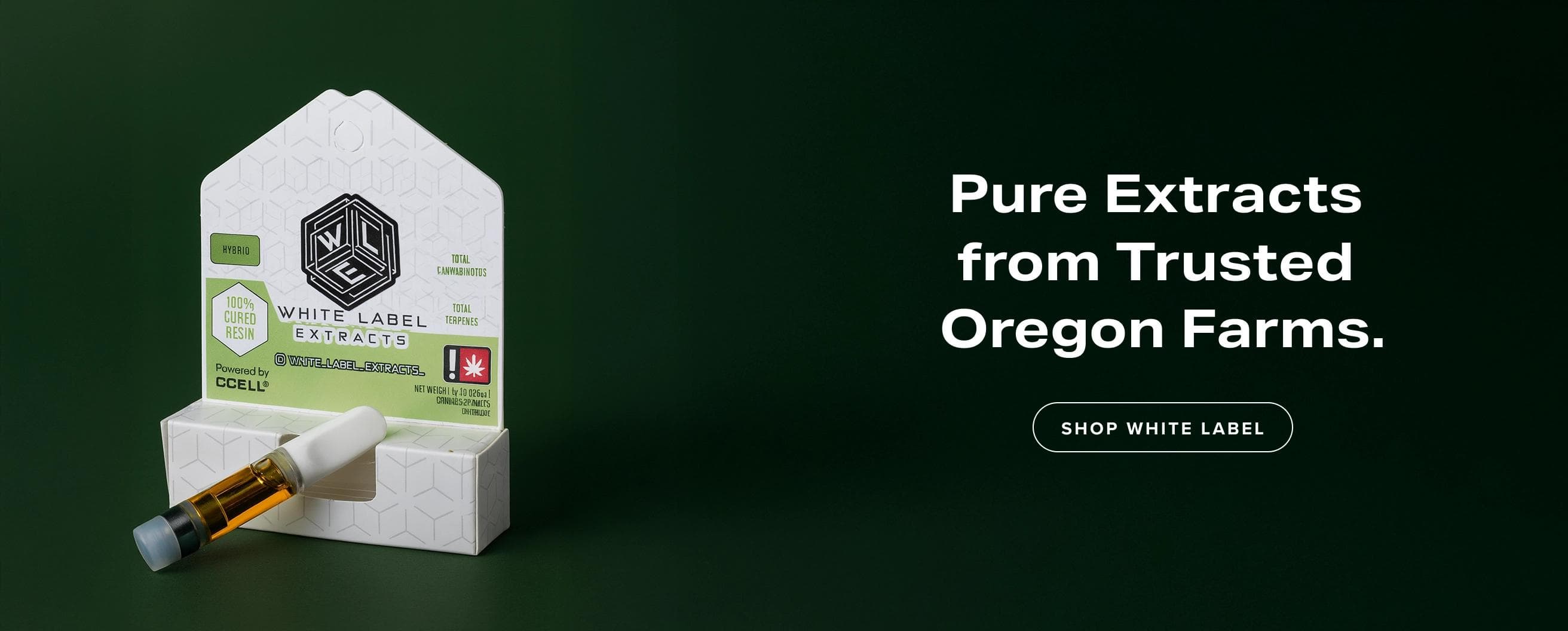 Feature Image Desktop